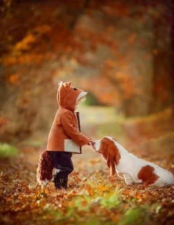 The fox and the hound