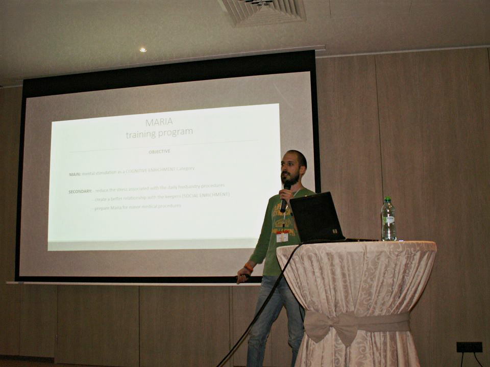 prezentare program training