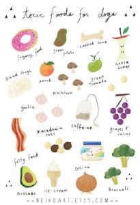 toxic food for dogs