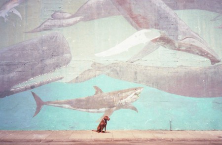 tumblr_n6yp6e6E0w1qin2xoo1_1280