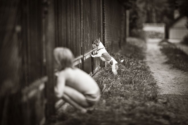children-photography-summertime-izabela-urbaniak-8