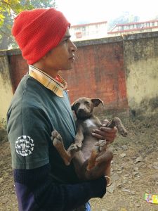handler holding a stray dog