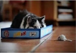 6b0d94ad0cac3bb2b05f1ffe9d9ec7b1