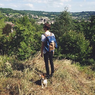 5 sfaturi utile pentru plimbarea câinelui – ediția a&nbsp;șasea