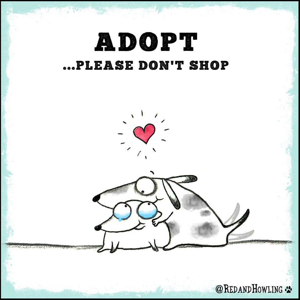 adopt