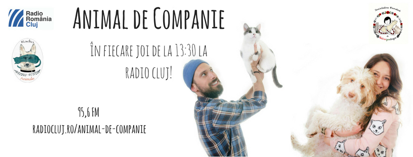 cover-radio-animale-fb