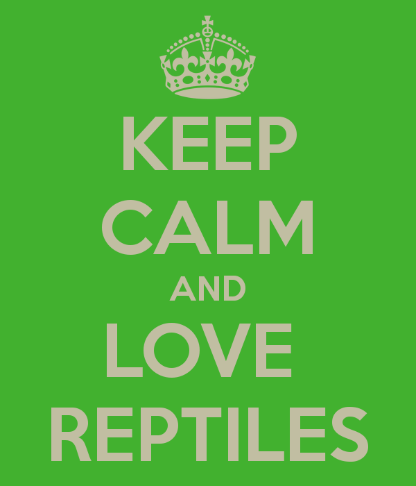 keep-calm-and-love-reptiles