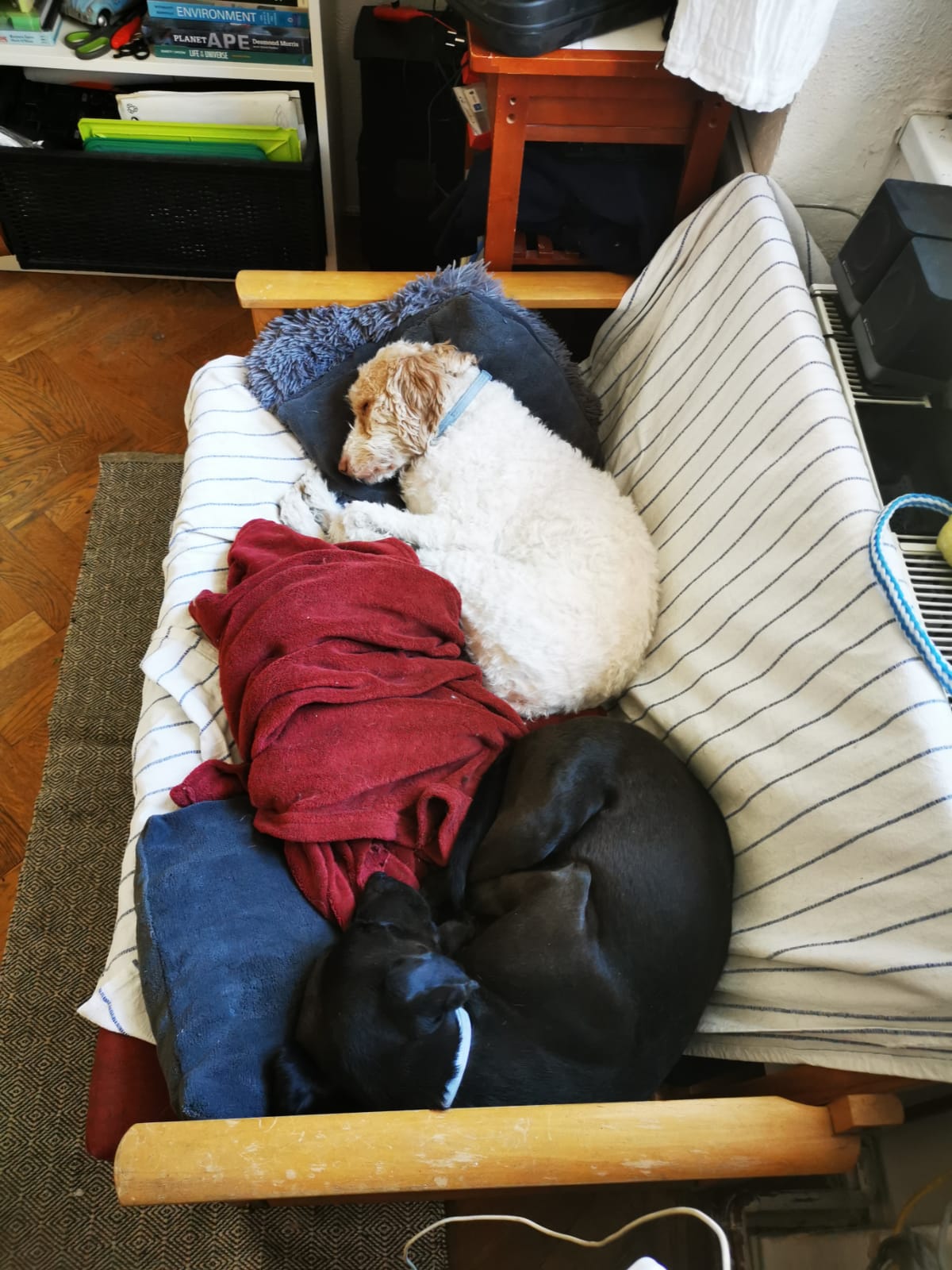 Leia și Lili pe canapea I