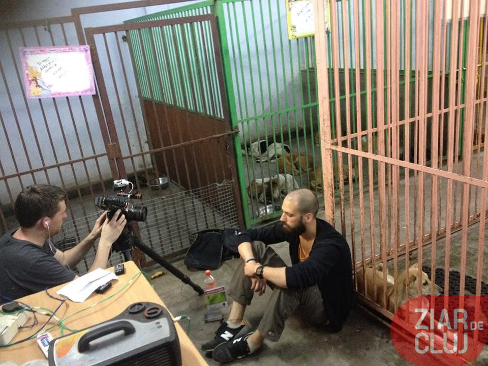 Apariții în presă